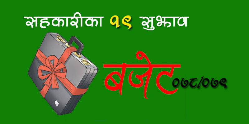 सहकारी महासङ्घले बुझाएको १९ बुँदे सुझावमा के के छन्
